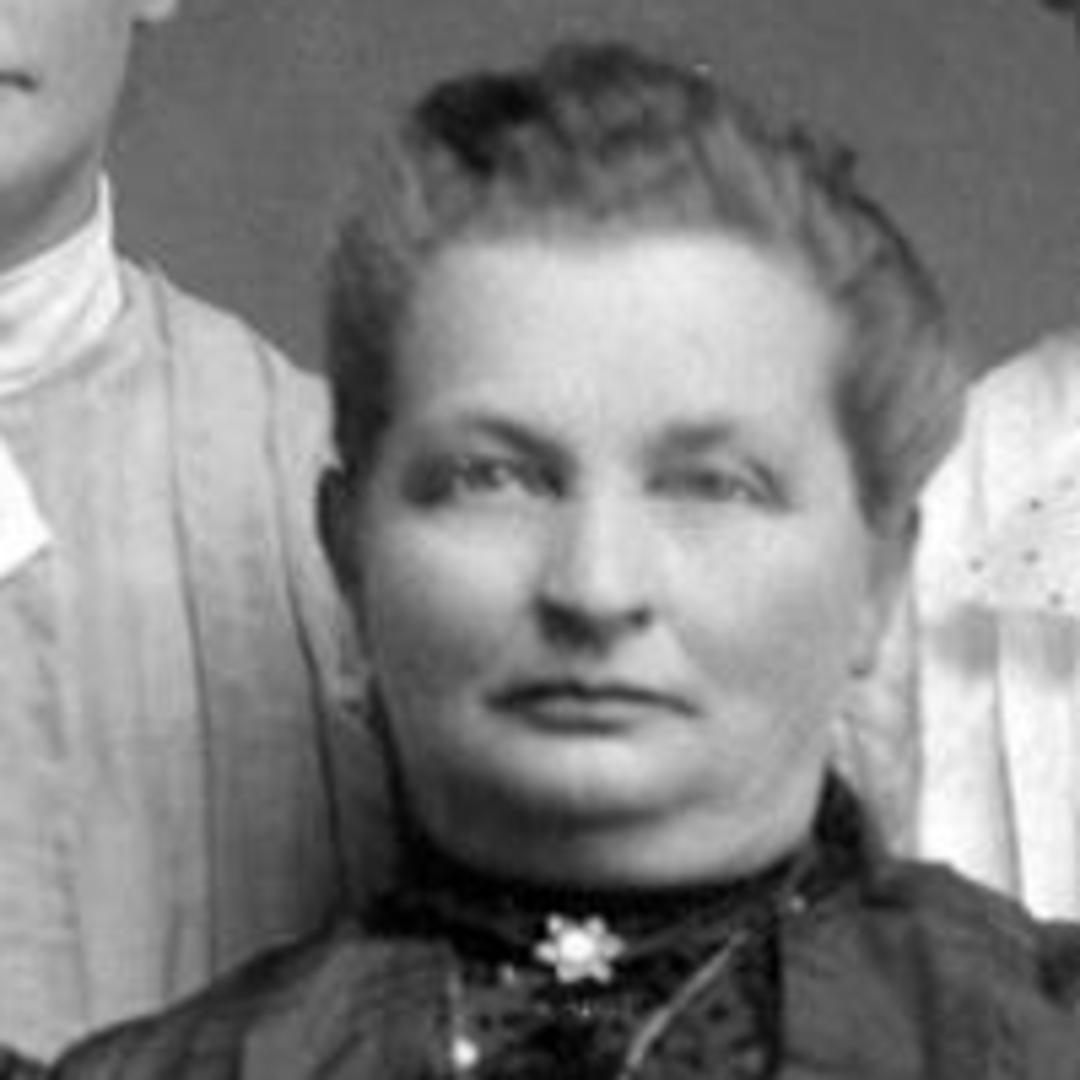 Anna Kirstena Olsen (1851 - 1946) Profile